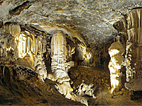 Caves of Postojna 